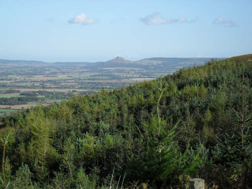 The view from the top