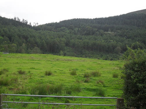 The white dots are the cars in the car park at the top, that's where you're heading