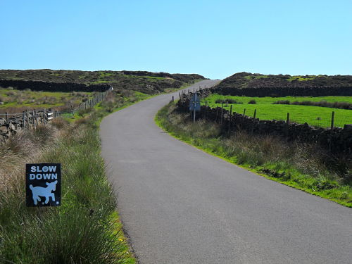 The final section up to the top, the end bit is steeper than it looks, probably 18% or so.