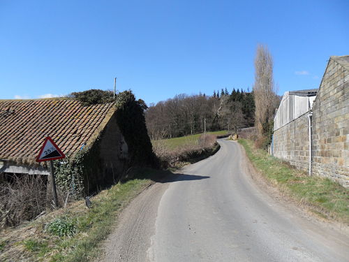 Just after the start, not quite 25% I think, but steep enough