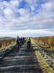 10911404_336585476547482_3433654231978759279_o